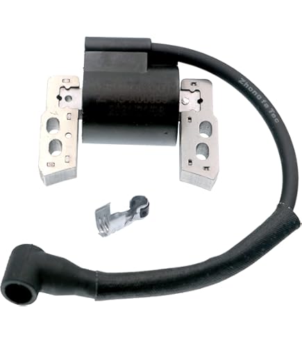 Amazon.com : Briggs & Stratton 394970 Ignition Kit used to